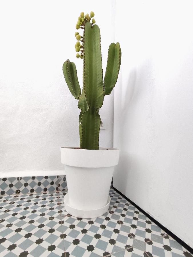 Jimaral Apartment Vejer de la Frontera Luaran gambar